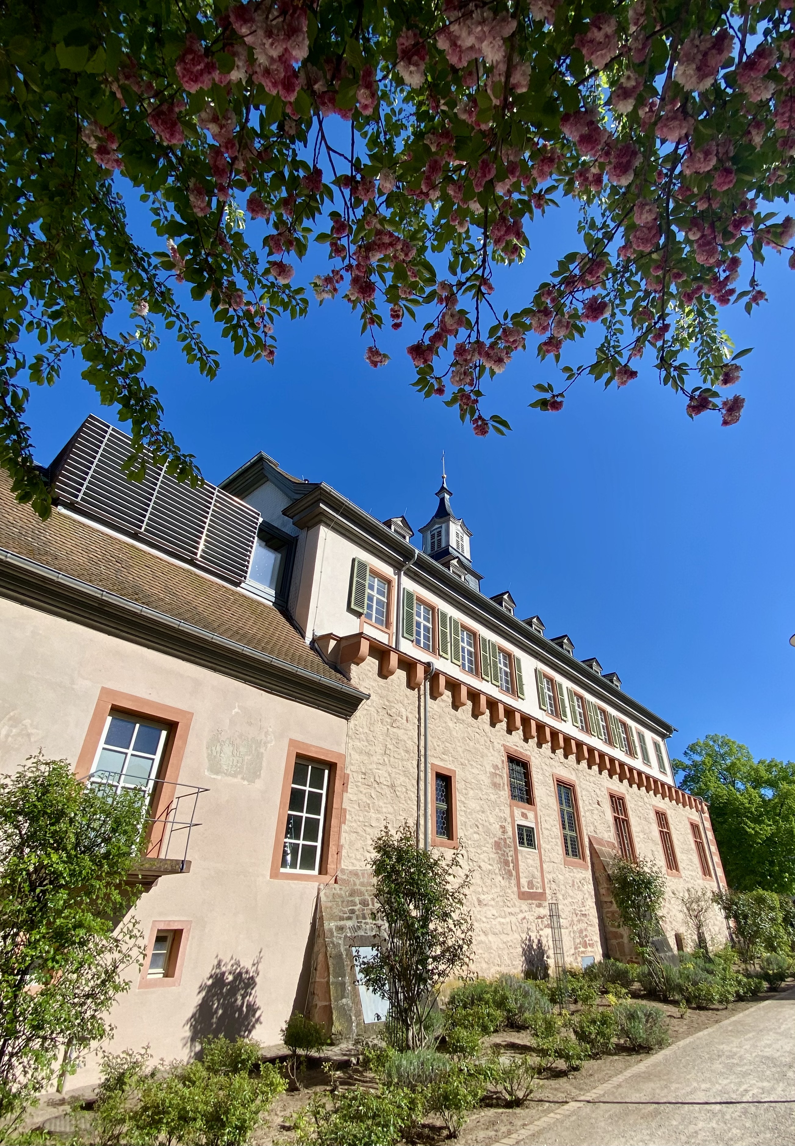 Kunstausstellung